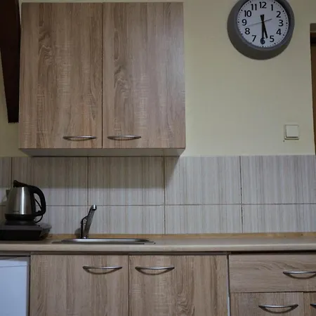 Penzion U Selongu Guest house