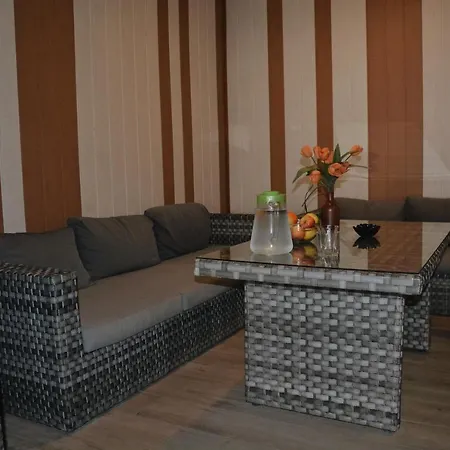 Penzion U Selongu Guest house