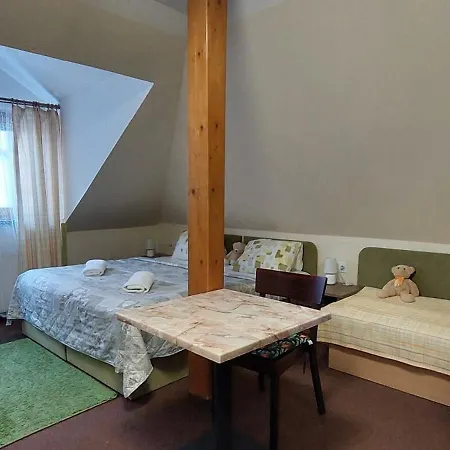 Penzion U Selongu Jindřichův Hradec